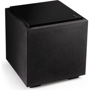 Definitive Technology Descend DN10