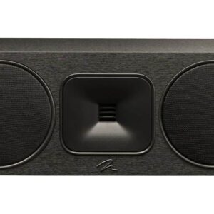 MartinLogan Motion Foundation C1